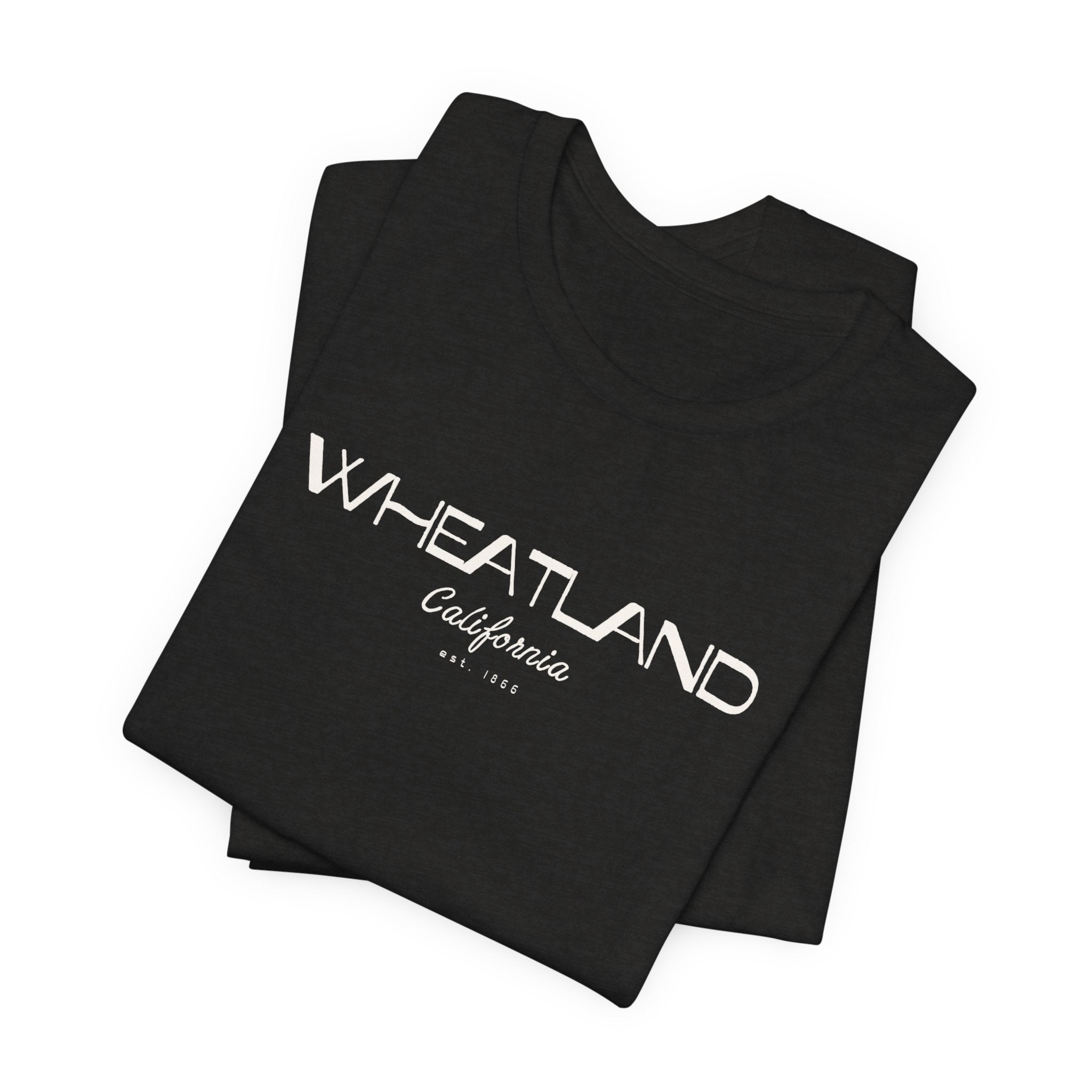 Copy of Wheatland Union High School | Home of the Pirates Vintage Flag T-Shirt